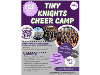Tiny Knights Cheer Camp